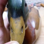 Glue the crack of the beak