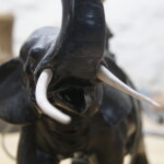 Après réhabilitation